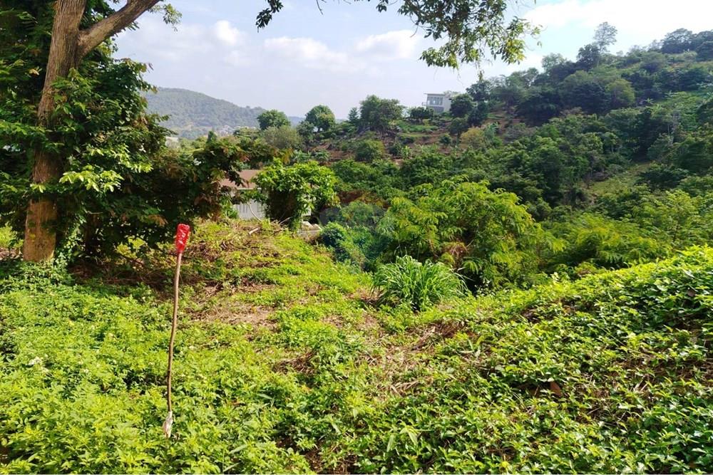Land - Residential - For Sale - Koh Samui, Surat Thani - 627012_0.jpg - 920121075-92