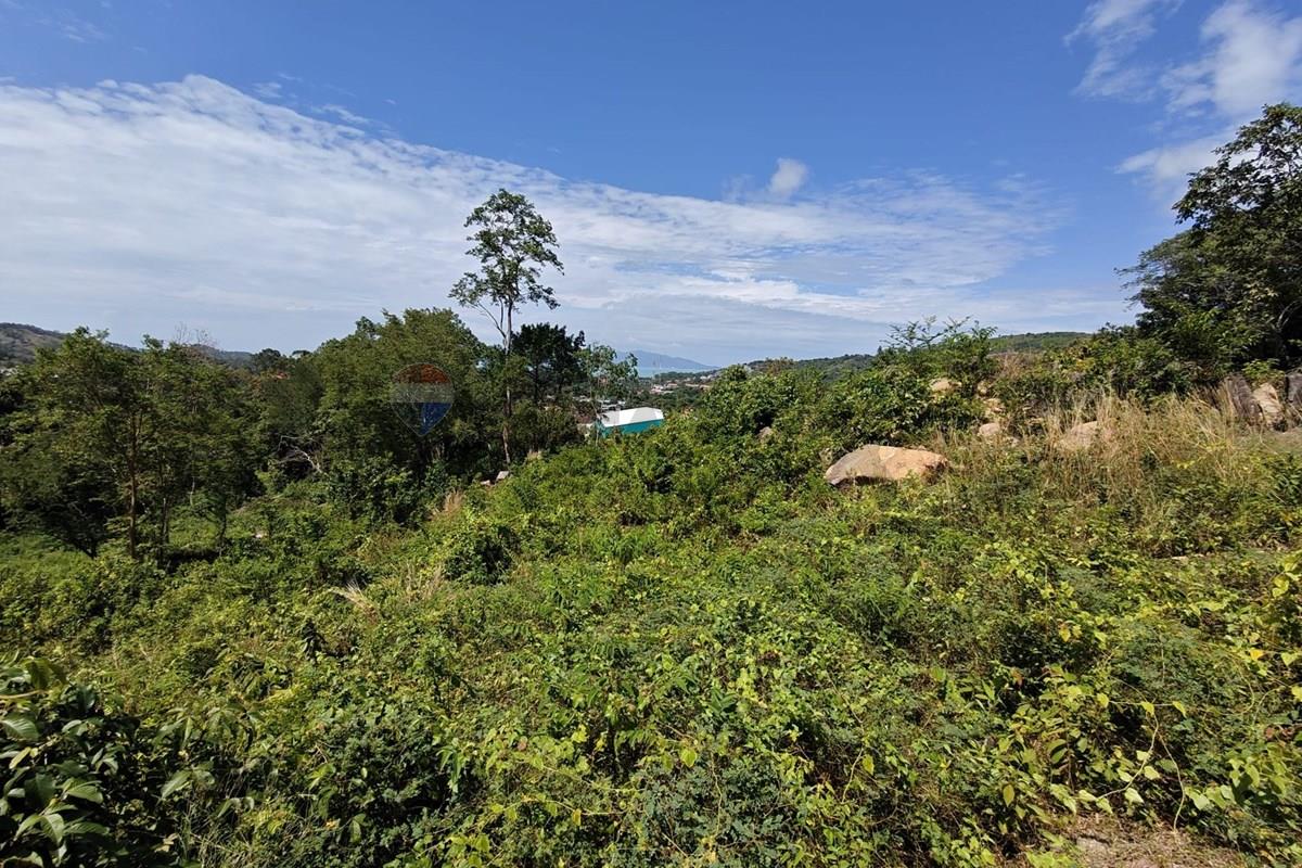 Land - Residential - For Sale - Koh Samui, Surat Thani - WhatsApp Image 2026-06-18 at 16.14.19 (5).jpeg - 920121068-103