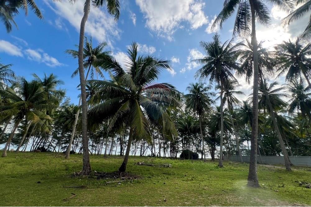 Land - Residential - For Sale - Tha Sala, Nakhon Si Thammarat - S__201138190_0.jpg - 920121030-282