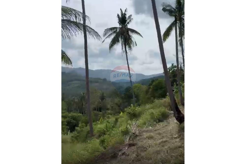 Land - Residential - For Sale - Koh Samui, Surat Thani - IMG_1891.jpeg - 920121088-19