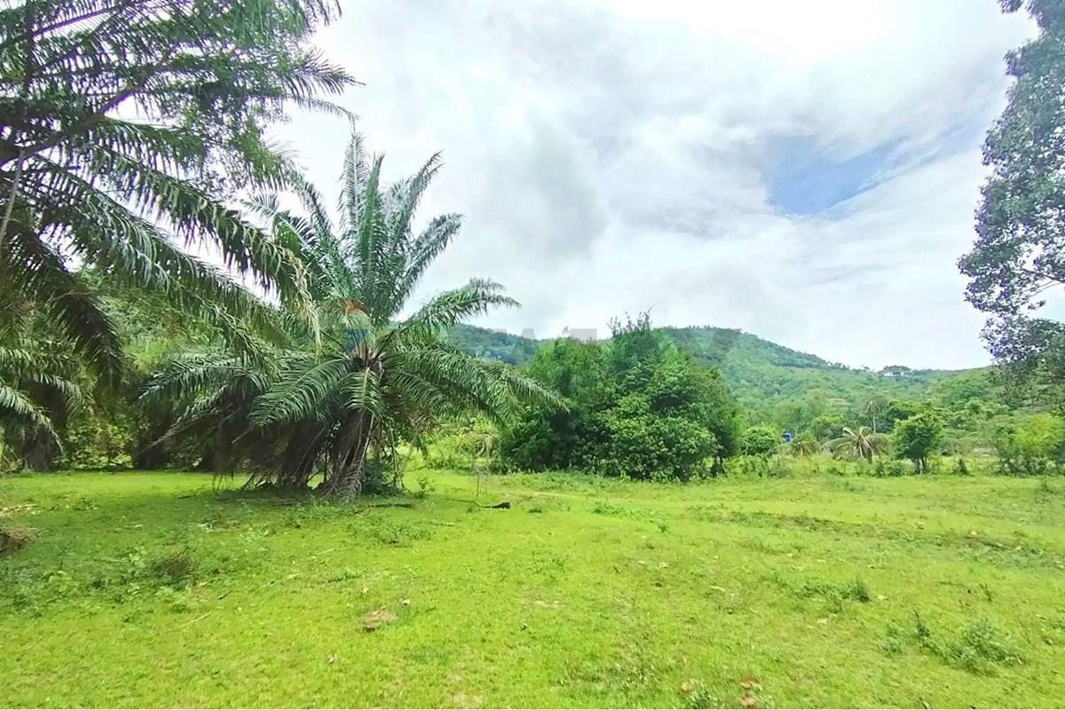 Land - Residential - For Sale - Koh Samui, Surat Thani - 672650_0.jpg - 920121075-110