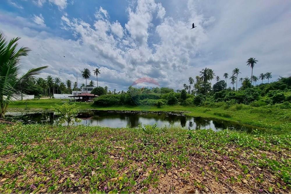 Land - Residential - For Sale - Tha Sala, Nakhon Si Thammarat - S__207192070_0.jpg - 920121030-299