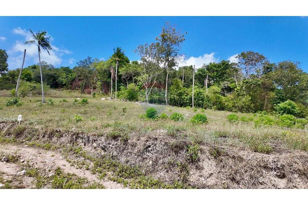 Land - Residential - For Sale - Koh Samui, Surat Thani - Plot 3.jpg - 920121001-3514