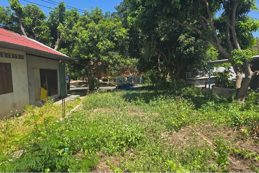 Land - Residential - For Sale - Koh Samui, Surat Thani - IMG-20250910-WA0011.jpg - 920121057-162