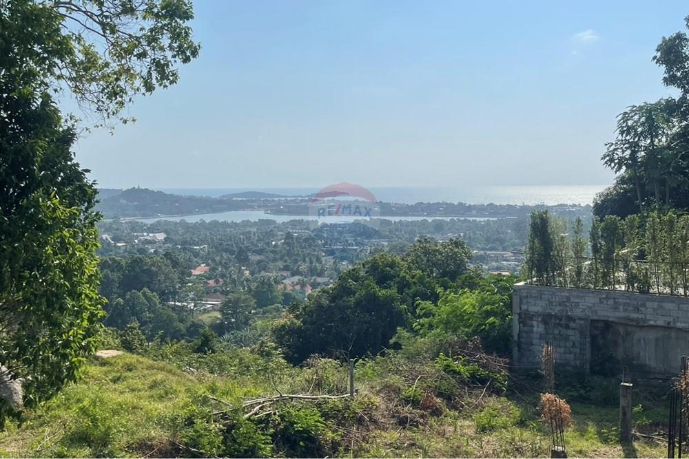 Land - Residential - For Sale - Koh Samui, Surat Thani - IMG_6341.jpeg - 920121079-48