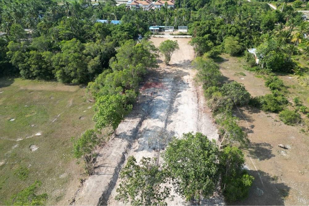 Land - Residential - For Sale - Koh Samui, Surat Thani - 655570_0.jpg - 920121075-106