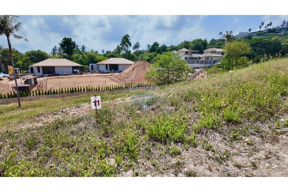 Land - Residential - For Sale - Koh Samui, Surat Thani - Plot 11.jpg - 920121001-3514