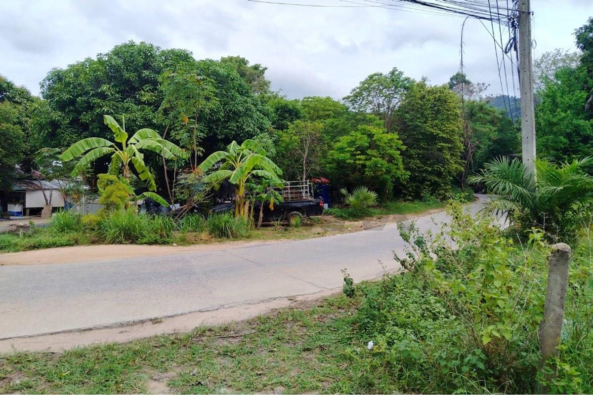 Land - Residential - For Sale - Koh Samui, Surat Thani - 672625_0.jpg - 920121075-110