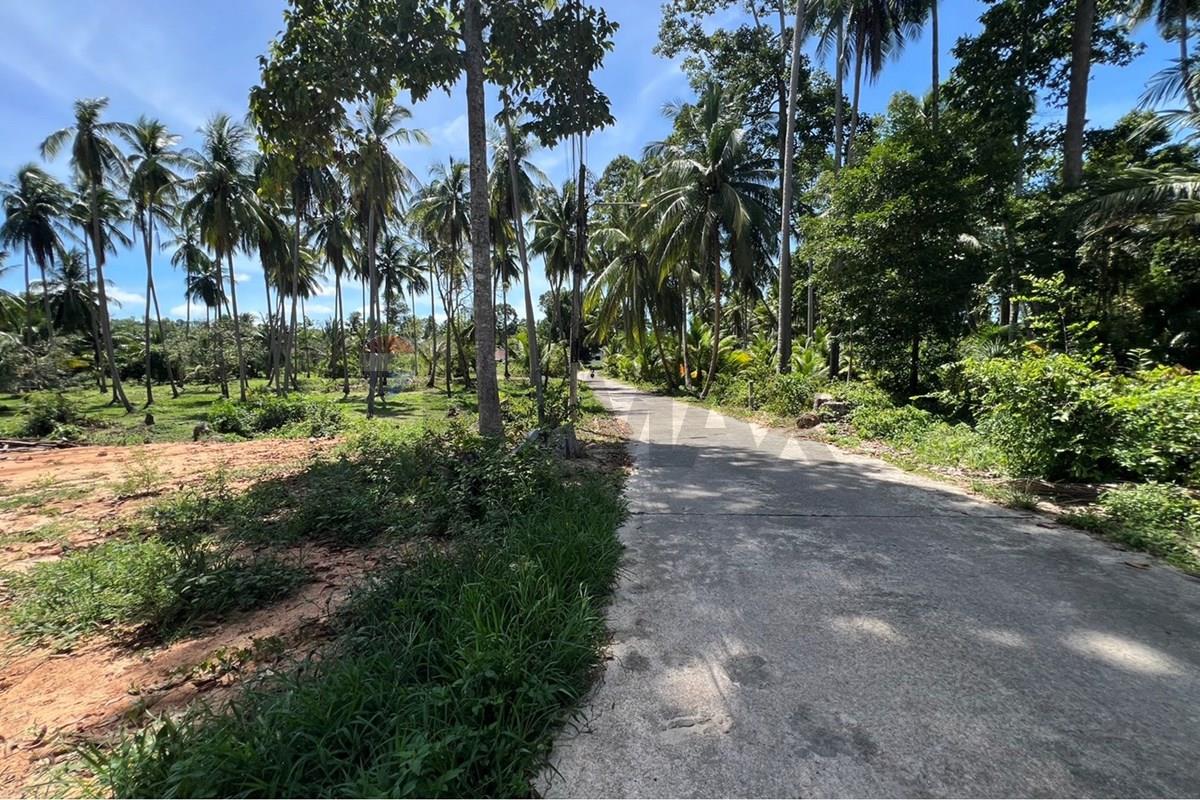 Land - Residential - For Sale - Koh Samui, Surat Thani - S__42434579_0.jpg - 920121030-308