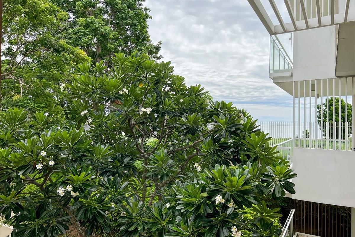 Condo/Apartment - For Sale - Hua Hin, Prachuap Khiri Khan - wan-vayla-156-69sqm_00001.jpg - 920601001-1192