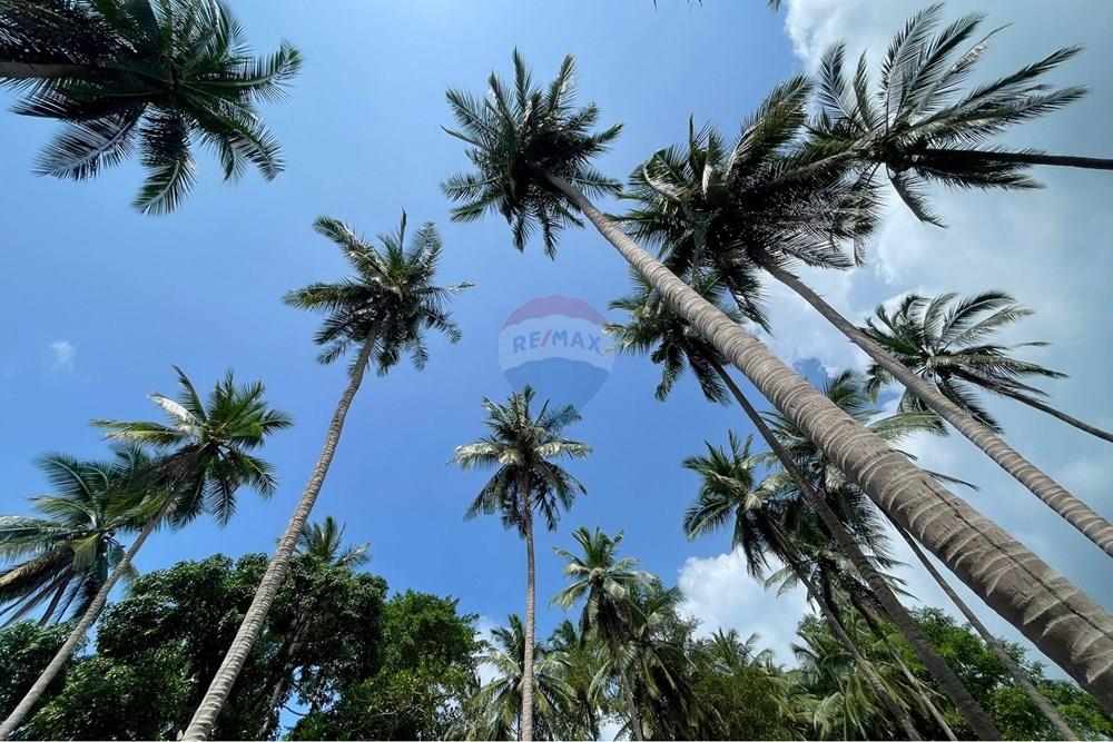 Land - Residential - For Sale - Koh Samui, Surat Thani - WhatsApp Image 2026-03-13 at 22.04.35 (2).jpeg - 920121068-92