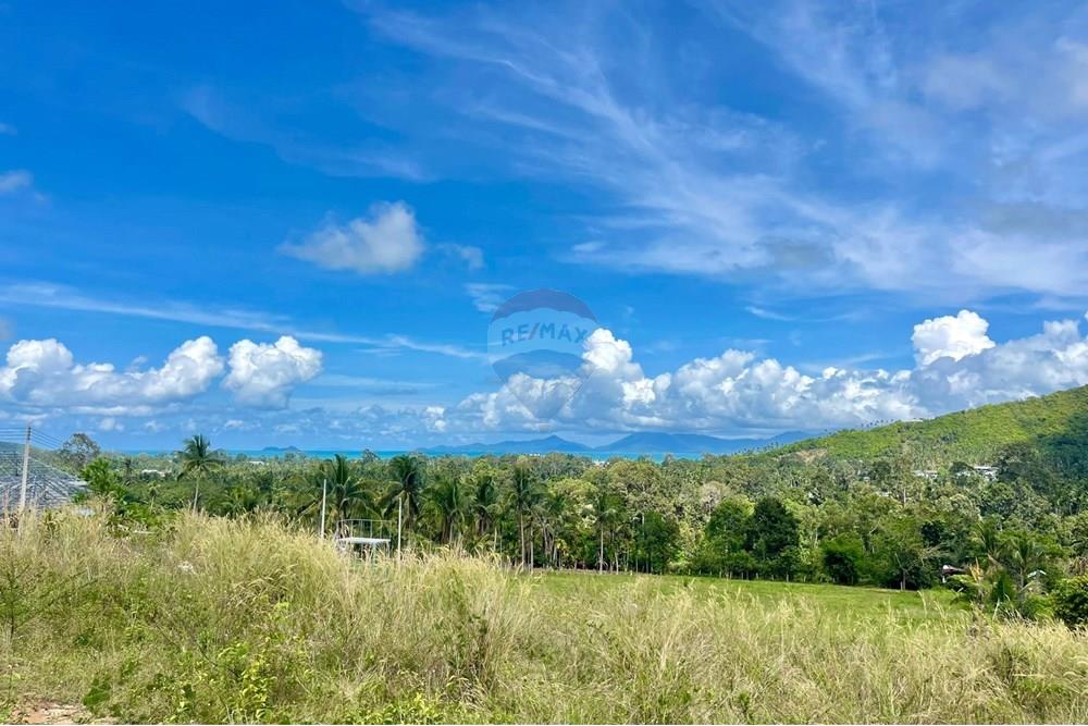 Land - Residential - For Sale - Koh Samui, Surat Thani - IMG-20251117-WA0013.jpg - 920121068-78