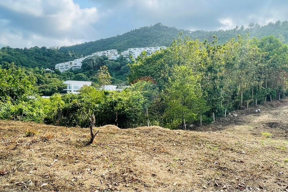 Land - Residential - For Rent/Lease - Koh Samui, Surat Thani - IMG_5796.jpeg - 920121079-45