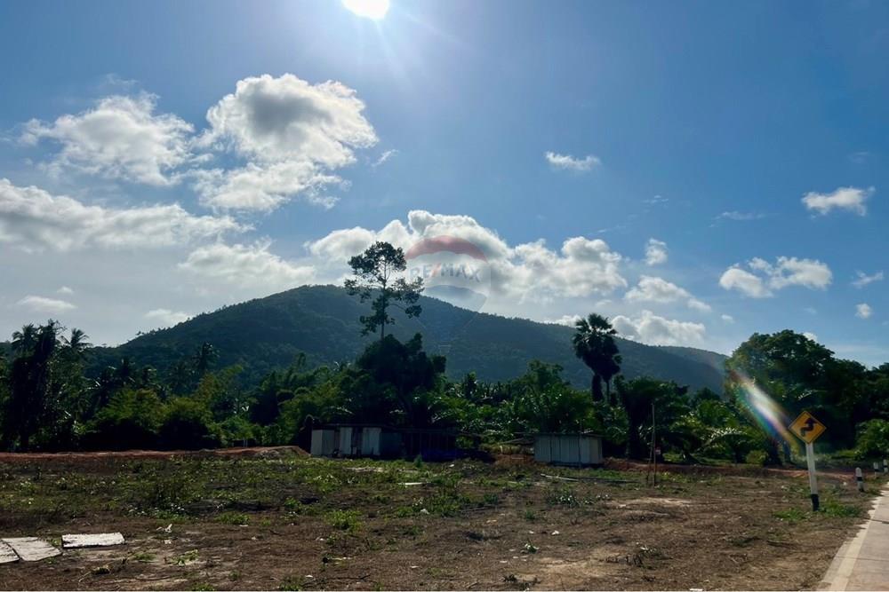 Land - Residential - For Sale - Koh Samui, Surat Thani - S__206618637_0.jpg - 920121030-298