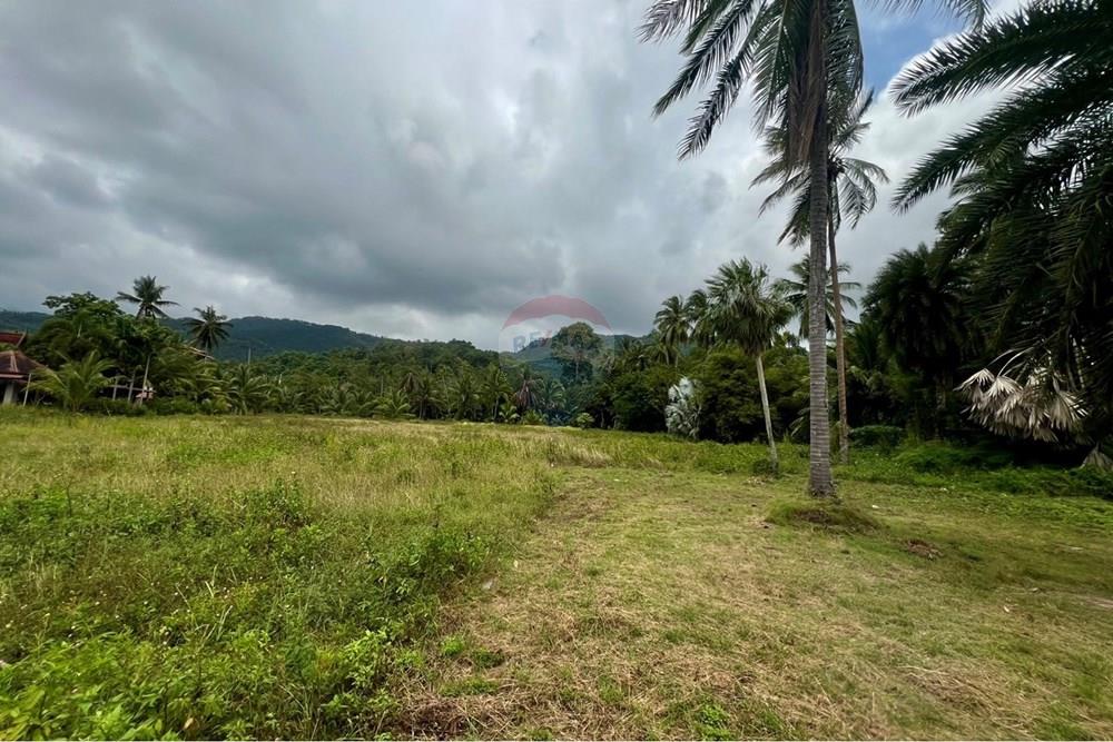 Land - Residential - For Sale - Koh Samui, Surat Thani - S__206528524_0.jpg - 920121030-297