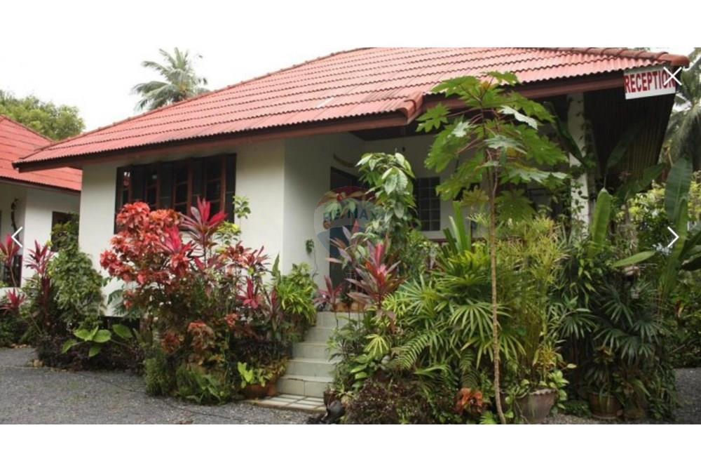 Land - Residential - For Sale - Koh Samui, Surat Thani - IMG_8951.JPG - 920121088-11