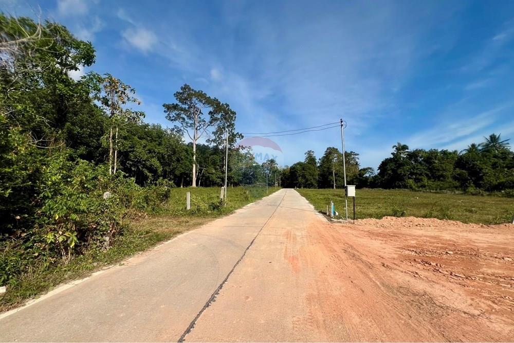 Land - Residential - For Sale - Koh Samui, Surat Thani - S__206618641_0.jpg - 920121030-298