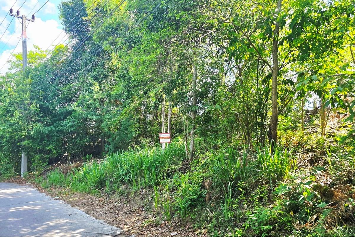 Land - Residential - For Sale - Koh Samui, Surat Thani - 004.jpg - 920121018-340