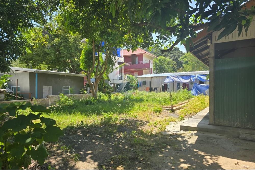 Land - Residential - For Sale - Koh Samui, Surat Thani - IMG-20250910-WA0012.jpg - 920121057-162