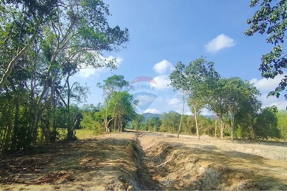 Land - Residential - For Sale - Koh Samui, Surat Thani - 655599_0.jpg - 920121075-106