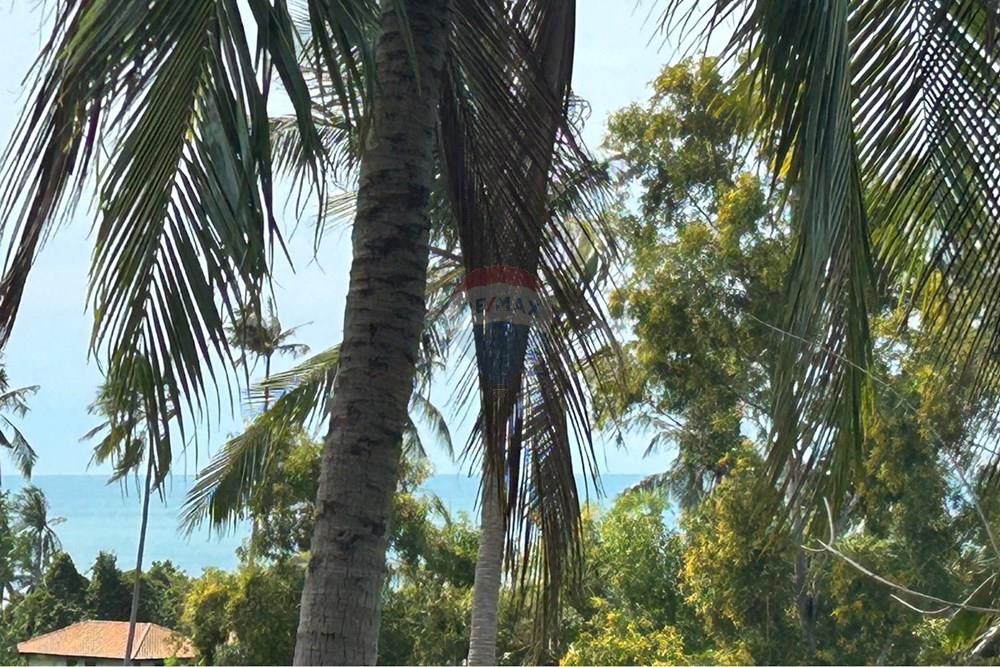 Land - Residential - For Sale - Koh Samui, Surat Thani - S__27320347_0.jpg - 920121075-97