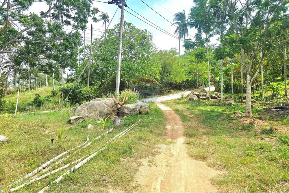 Land - Residential - For Sale - Koh Samui, Surat Thani - 004.jpg - 920121018-328