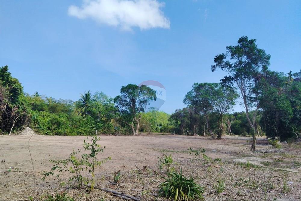 Land - Residential - For Sale - Koh Samui, Surat Thani - 655636_0.jpg - 920121075-106
