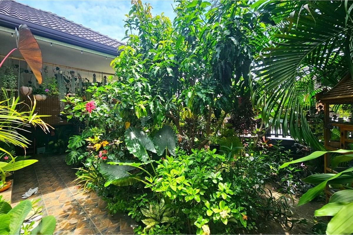 Villa - For Sale - Pran Buri, Prachuap Khiri Khan - 20260620_115549.jpg - 920601001-1182
