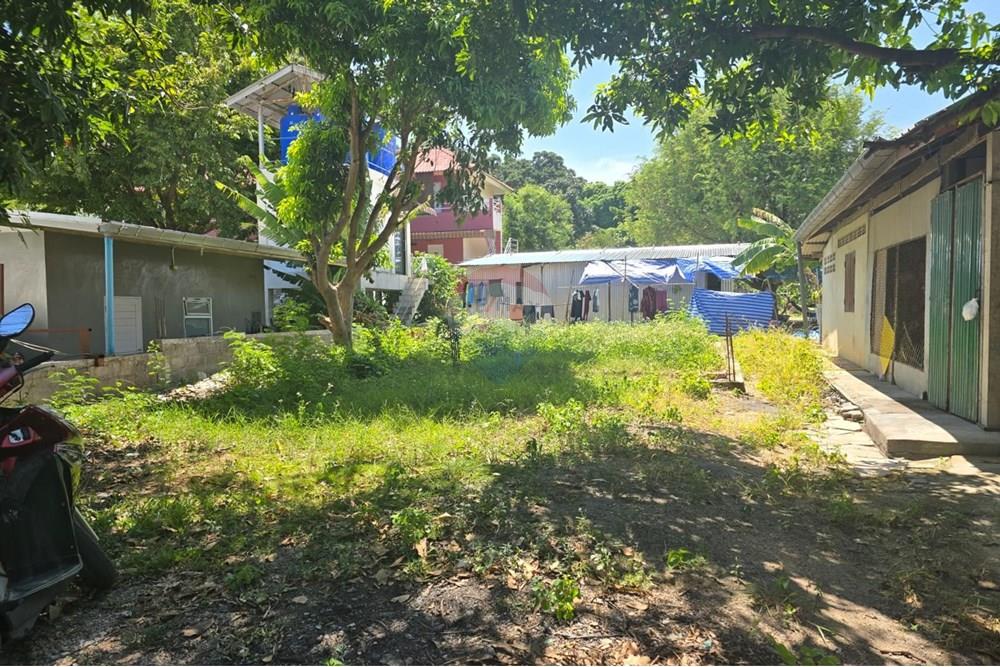 Land - Residential - For Sale - Koh Samui, Surat Thani - IMG-20250910-WA0008.jpg - 920121057-162