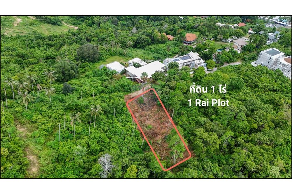 Land - Residential - For Sale - Koh Samui, Surat Thani - 1 (1).jpg - 920121075-105