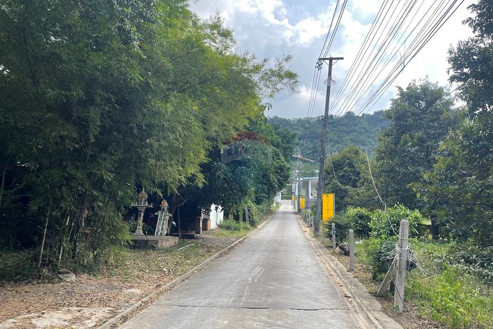 Land - Residential - For Sale - Koh Samui, Surat Thani - IMG_3252.jpeg - 920121079-31