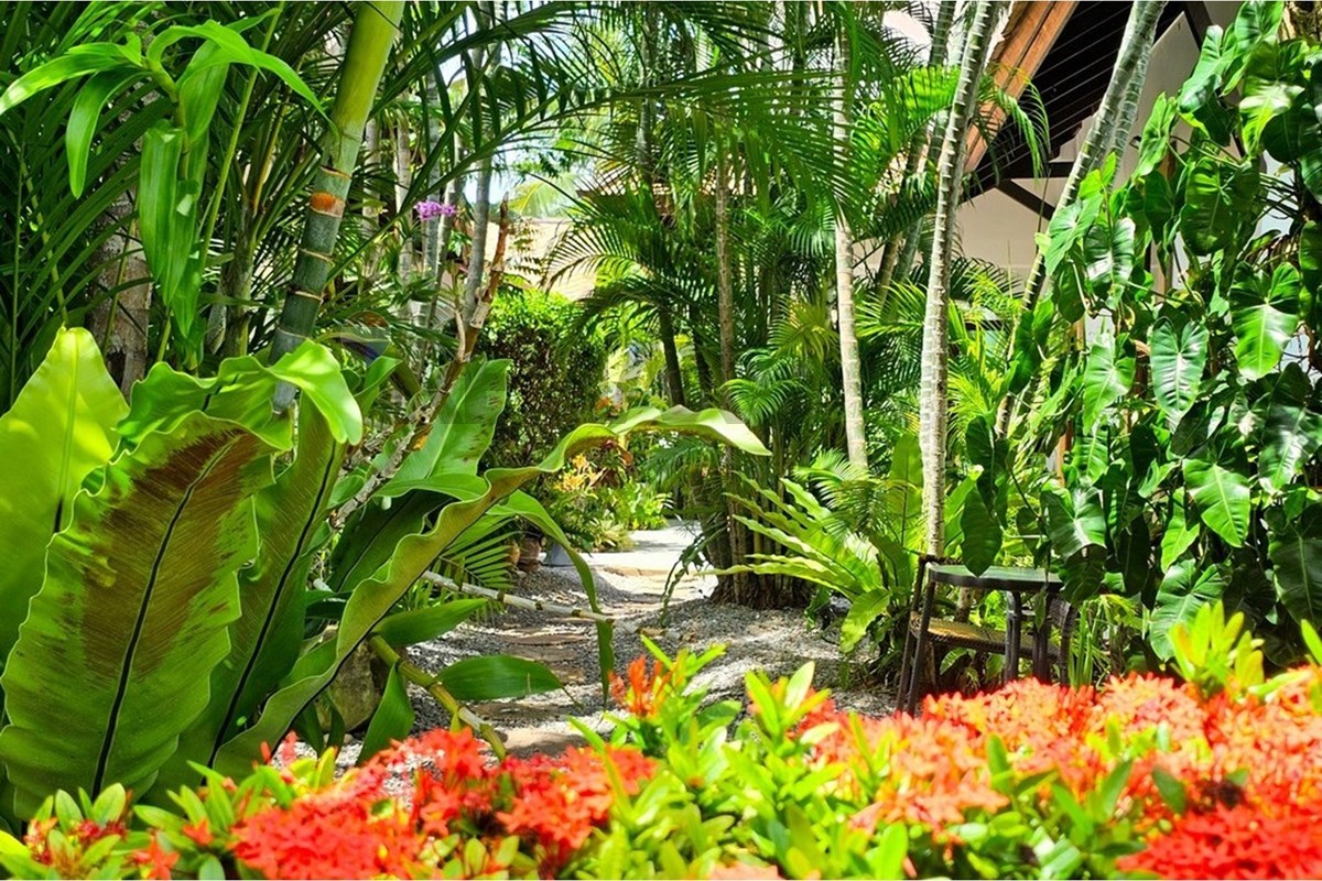 Villa - For Sale - Hua Hin, Prachuap Khiri Khan - 20260804_135334.jpg - 920601001-1224