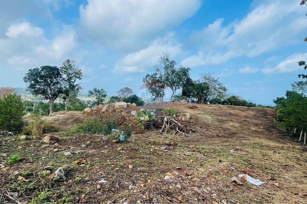 Land - Residential - For Rent/Lease - Koh Samui, Surat Thani - IMG_5797.jpeg - 920121079-45