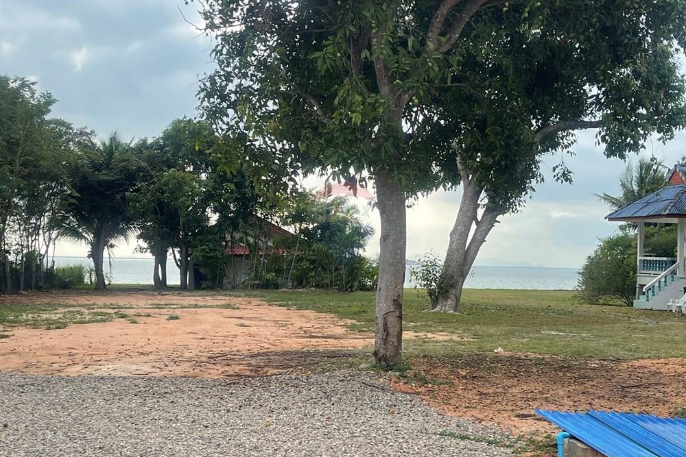 Land - Residential - For Sale - Koh Samui, Surat Thani - IMG_4534.jpeg - 920121079-39