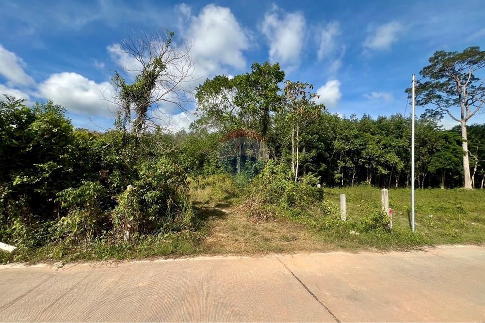 Land - Residential - For Sale - Koh Samui, Surat Thani - S__206618640_0.jpg - 920121030-298