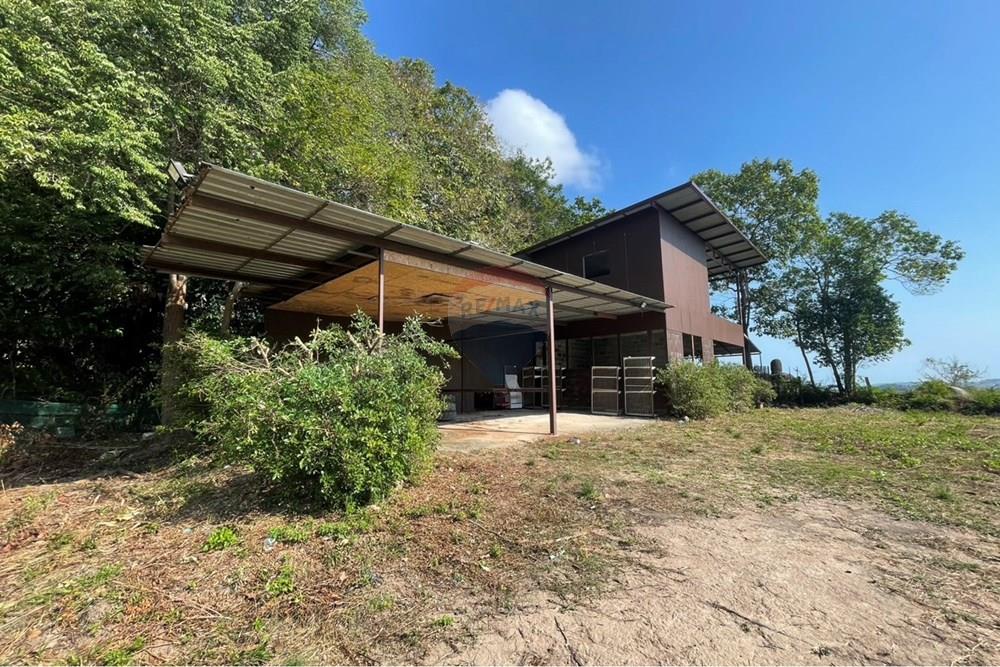 Land - Residential - For Sale - Koh Samui, Surat Thani - IMG_6352.jpeg - 920121079-48