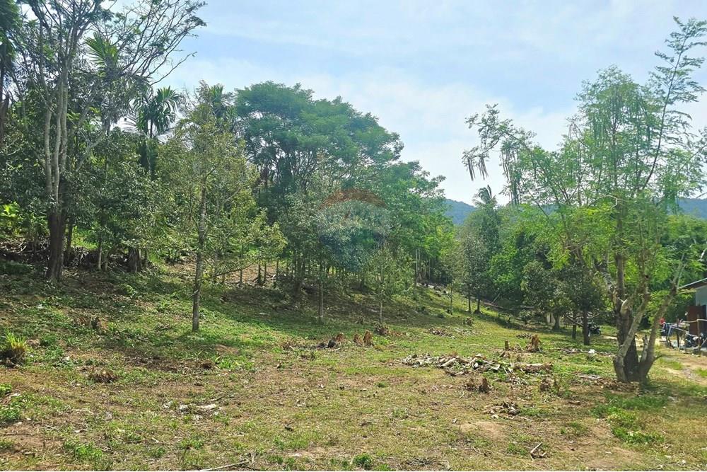 Land - Residential - For Sale - Koh Samui, Surat Thani - 546231775_10222887925746460_5724345890380687496_n.jpg - 920121018-328