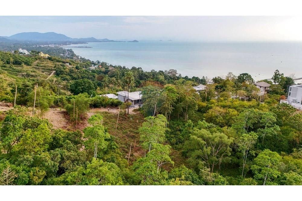 Land - Residential - For Sale - Koh Samui, Surat Thani - 647070_0.jpg - 920121075-105
