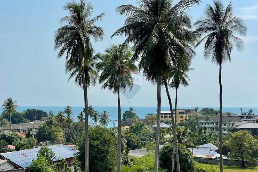 Business - For Sale - Koh Samui, Surat Thani - IMG_8533.jpeg - 920121068-84