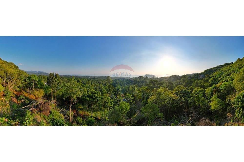 土地 - 出售 - Koh Pha Ngan, Surat Thani - WhatsApp Image 2026-03-13 at 12.03.23.jpeg - 920621004-171