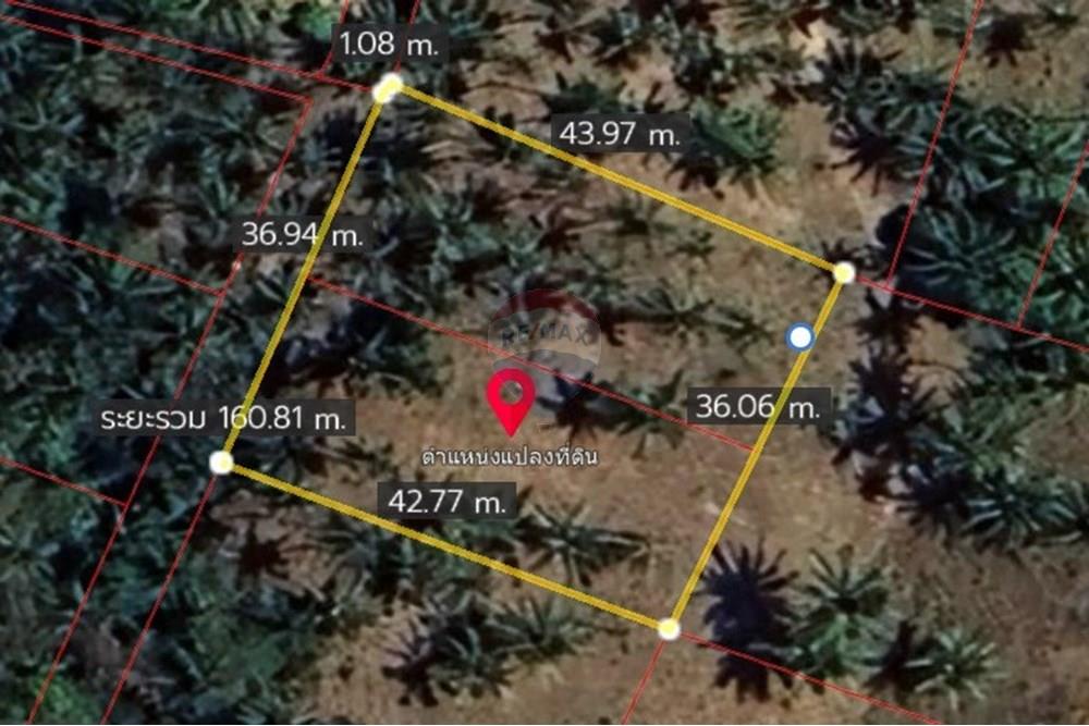 Land - Residential - For Sale - Koh Samui, Surat Thani - Screenshot 2025-11-19 154459-.jpg - 920121068-78