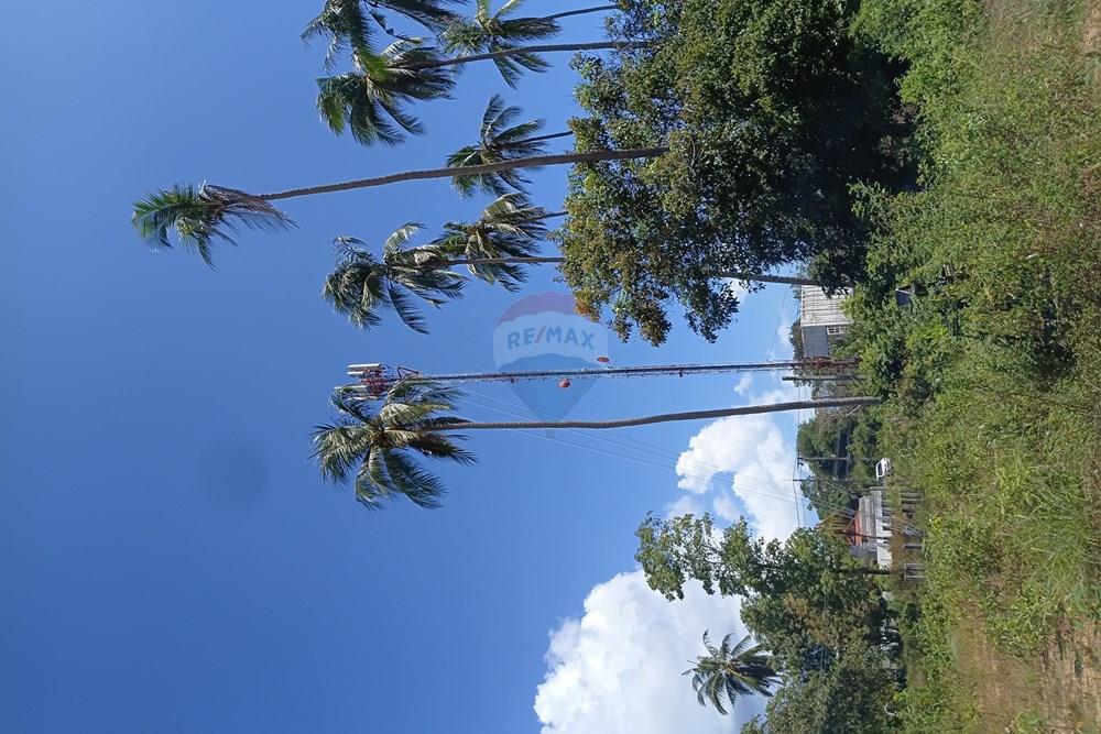 Land - Residential - For Sale - Koh Samui, Surat Thani - 20260228_111638.jpg - 920121087-11