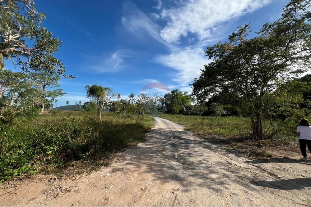 Land - Residential - For Sale - Koh Samui, Surat Thani - S__26820667_0.jpg - 920121030-278