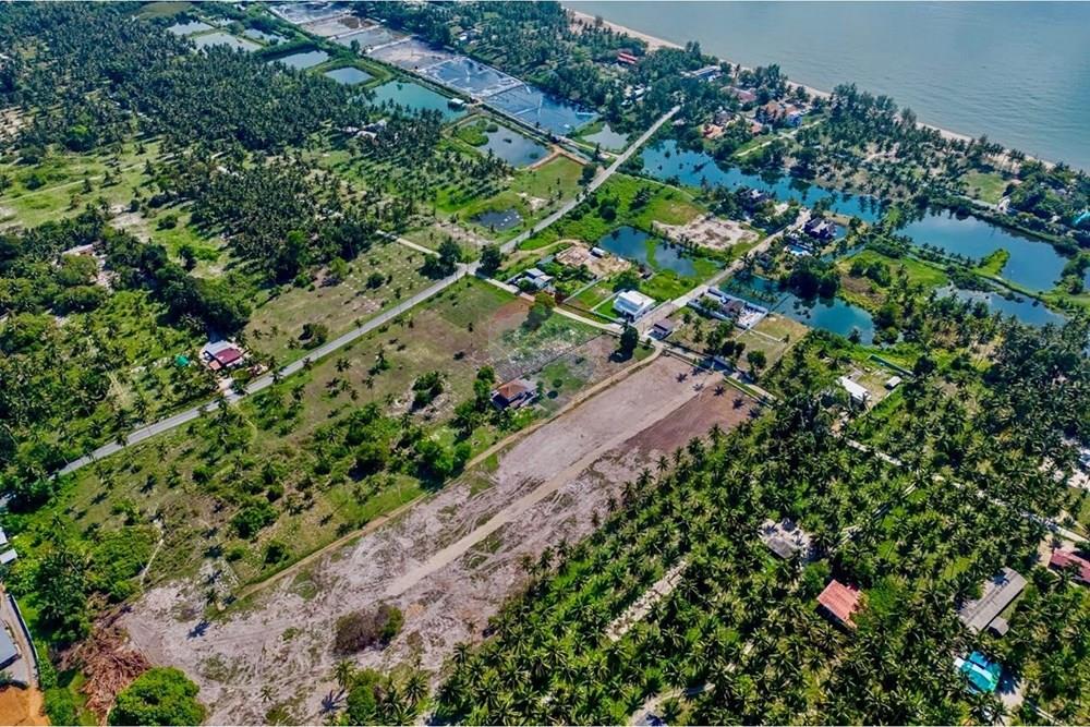 Land - Residential - For Sale - Tha Sala, Nakhon Si Thammarat - S__207192081_0.jpg - 920121030-299