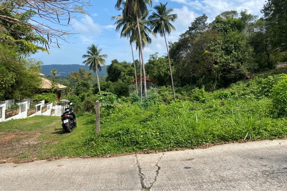 Land - Residential - For Sale - Koh Samui, Surat Thani - IMG_5678.JPG - 920121075-100