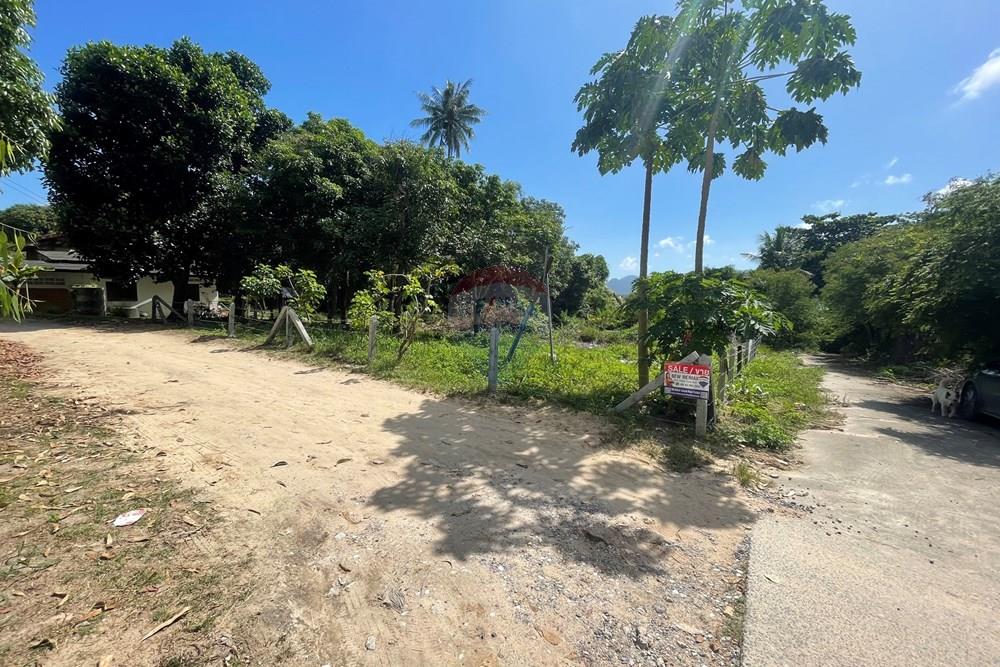 Land - Residential - For Sale - Koh Samui, Surat Thani - IMG_2057.jpeg - 920121079-10