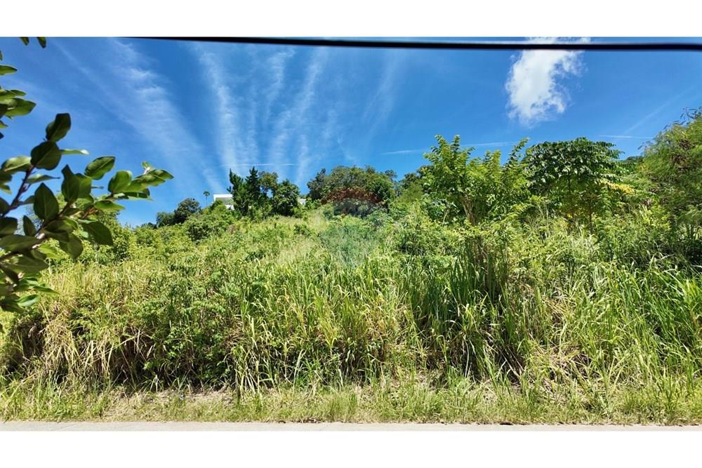 Land - Residential - For Sale - Koh Samui, Surat Thani - IMG_4868.JPG - 920121077-14
