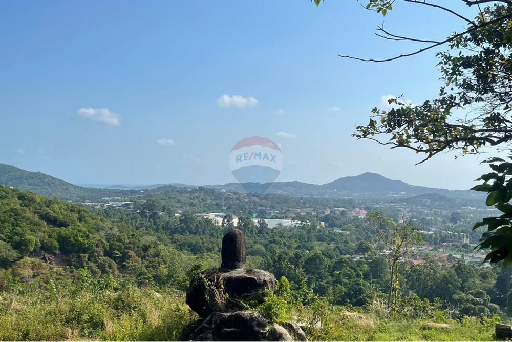 Land - Residential - For Sale - Koh Samui, Surat Thani - IMG_6342.jpeg - 920121079-48