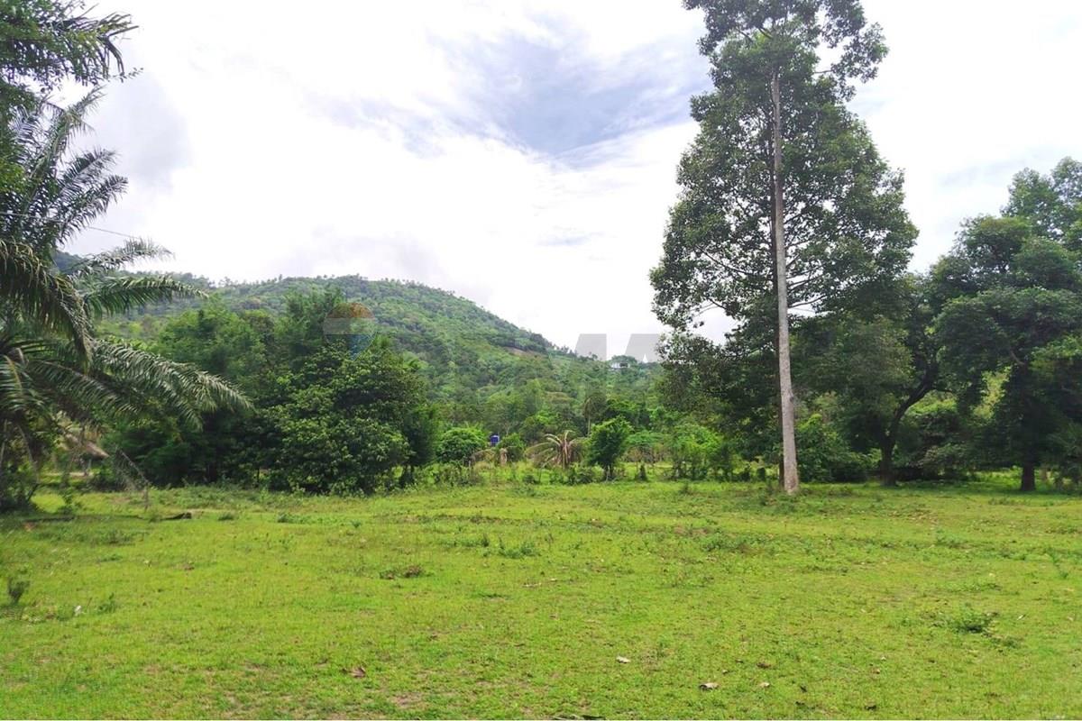 Land - Residential - For Sale - Koh Samui, Surat Thani - 672658_0.jpg - 920121075-110