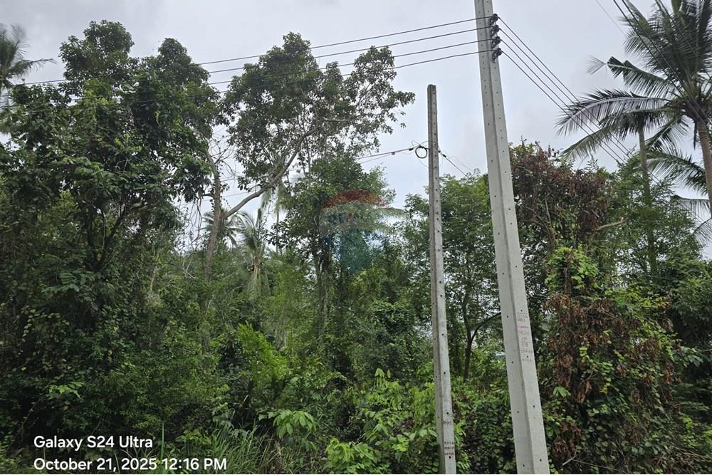 Land - Residential - For Sale - Koh Samui, Surat Thani - WhatsApp Image 2025-10-21 at 12.28.05 PM1.jpeg - 920121057-164